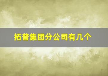 拓普集团分公司有几个