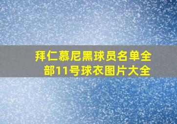 拜仁慕尼黑球员名单全部11号球衣图片大全