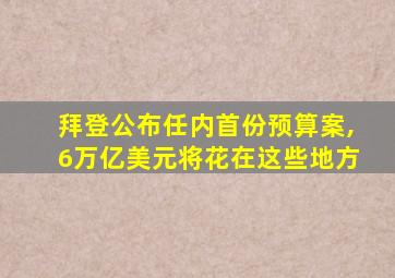 拜登公布任内首份预算案,6万亿美元将花在这些地方