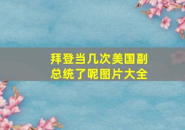 拜登当几次美国副总统了呢图片大全