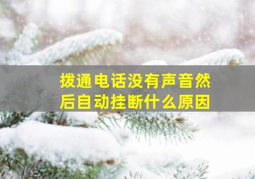 拨通电话没有声音然后自动挂断什么原因