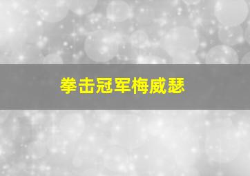 拳击冠军梅威瑟