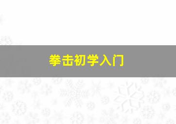 拳击初学入门