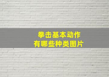 拳击基本动作有哪些种类图片