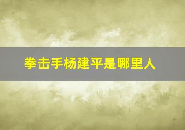 拳击手杨建平是哪里人