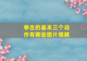 拳击的基本三个动作有哪些图片视频