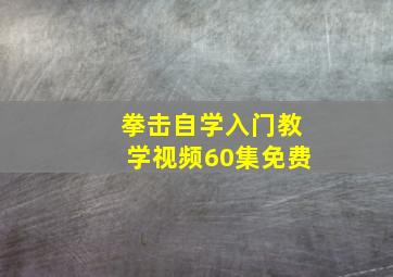 拳击自学入门教学视频60集免费