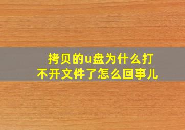 拷贝的u盘为什么打不开文件了怎么回事儿