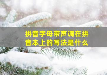 拼音字母带声调在拼音本上的写法是什么