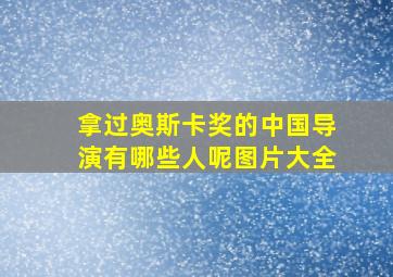 拿过奥斯卡奖的中国导演有哪些人呢图片大全