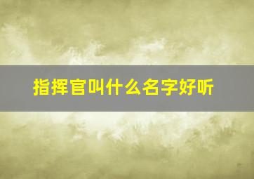 指挥官叫什么名字好听