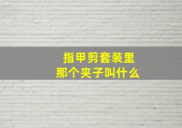 指甲剪套装里那个夹子叫什么