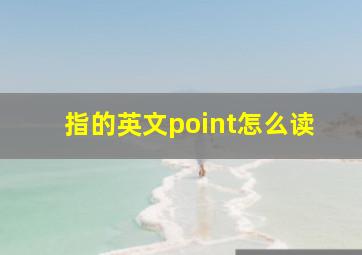 指的英文point怎么读