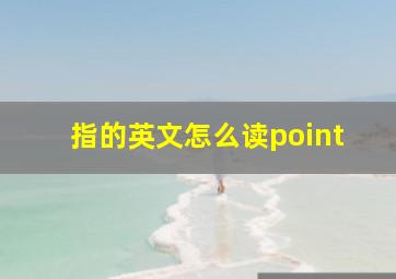 指的英文怎么读point