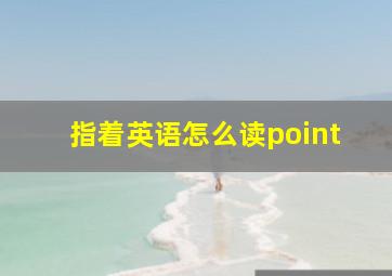 指着英语怎么读point