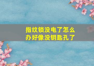 指纹锁没电了怎么办好像没钥匙孔了