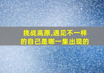 挑战高原,遇见不一样的自己是哪一集出现的