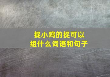 捉小鸡的捉可以组什么词语和句子