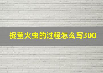 捉萤火虫的过程怎么写300