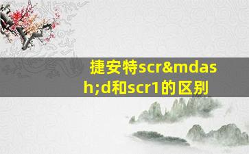 捷安特scr—d和scr1的区别