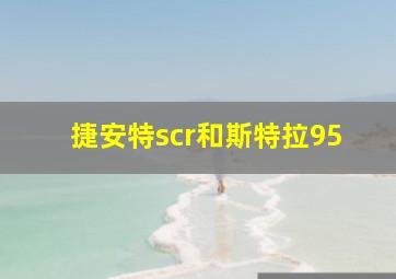 捷安特scr和斯特拉95