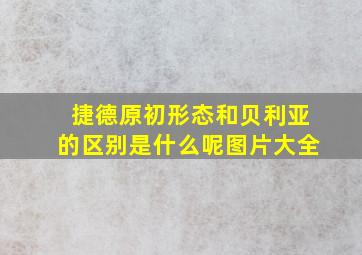 捷德原初形态和贝利亚的区别是什么呢图片大全