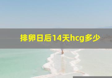 排卵日后14天hcg多少