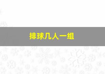 排球几人一组