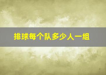 排球每个队多少人一组