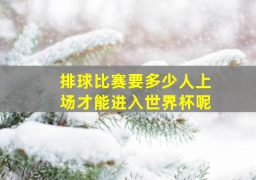 排球比赛要多少人上场才能进入世界杯呢