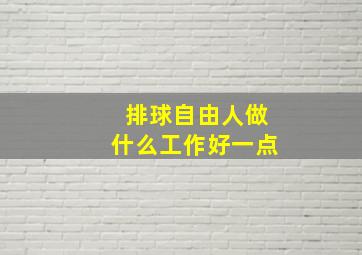 排球自由人做什么工作好一点