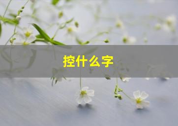 控什么字