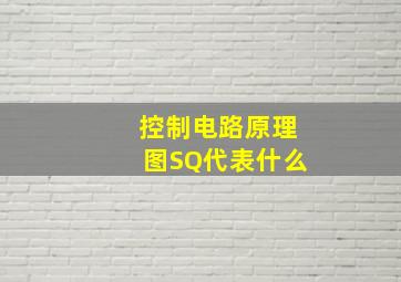 控制电路原理图SQ代表什么