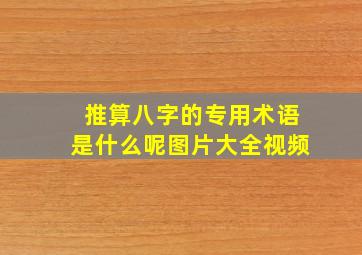 推算八字的专用术语是什么呢图片大全视频