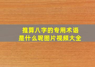 推算八字的专用术语是什么呢图片视频大全