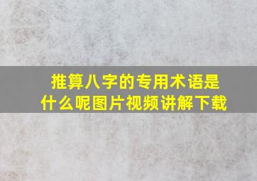 推算八字的专用术语是什么呢图片视频讲解下载