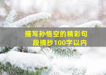 描写孙悟空的精彩句段摘抄100字以内