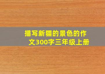 描写新疆的景色的作文300字三年级上册