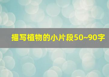 描写植物的小片段50~90字