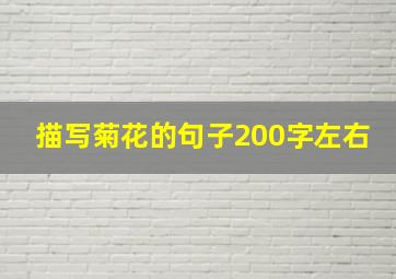 描写菊花的句子200字左右