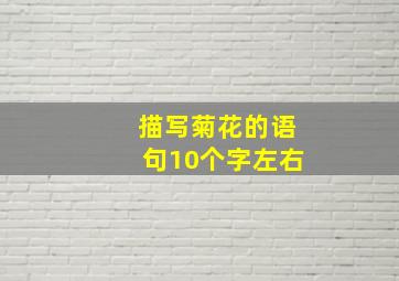 描写菊花的语句10个字左右