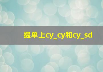 提单上cy_cy和cy_sd