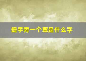 提手旁一个覃是什么字