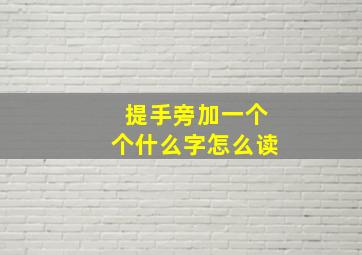 提手旁加一个个什么字怎么读