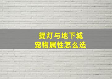 提灯与地下城宠物属性怎么选