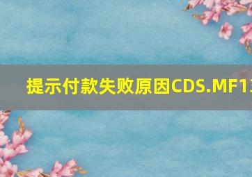 提示付款失败原因CDS.MF13