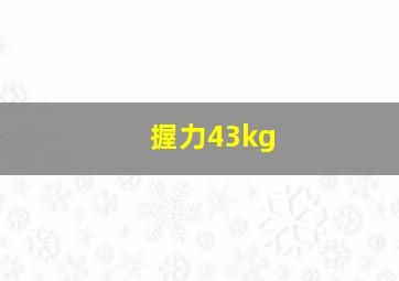 握力43kg