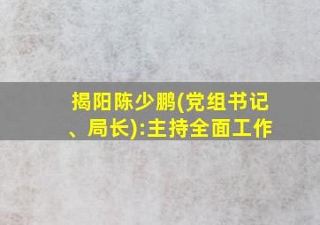 揭阳陈少鹏(党组书记、局长):主持全面工作