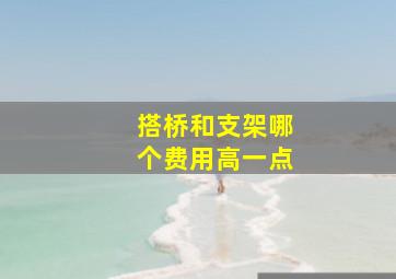 搭桥和支架哪个费用高一点