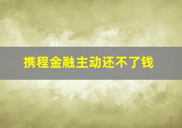 携程金融主动还不了钱